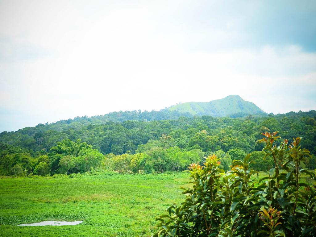 Apartament Kerala House Thekkady Zewnętrze zdjęcie